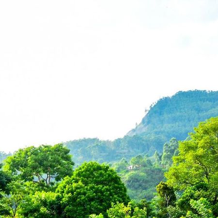 Gems Moon Paradise เอลลา ภายนอก รูปภาพ