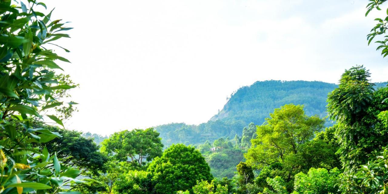 Gems Moon Paradise เอลลา ภายนอก รูปภาพ